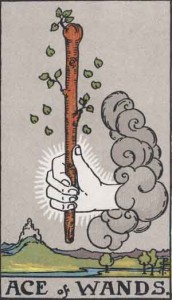 Ace of Wands from the Rider Waite Smith Tarot